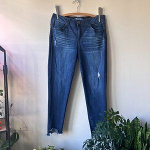 Gently Worn but Lovingly Cared For Distressed Democracy "Ab" Solution Jeans